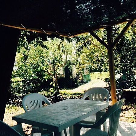 Agriturismo La Mora Ассизи Экстерьер фото